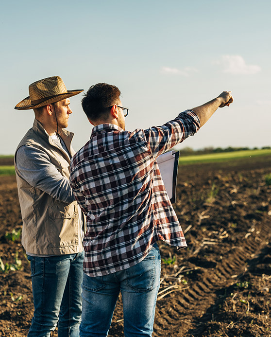 Two men looking at some land