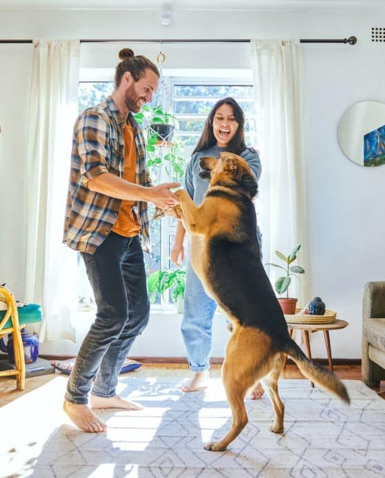 Difference Between APR and Interest Rate