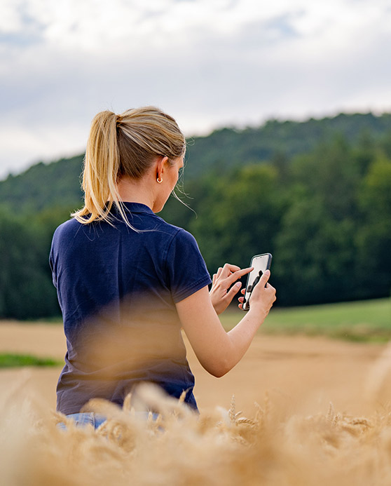 Woman looking at her phone in an open field